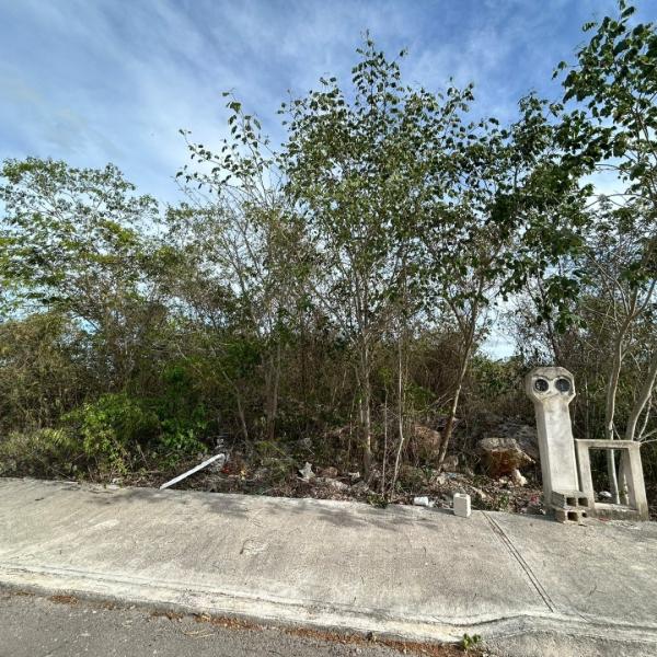 Venta Terreno fraccionamiento Mallorca